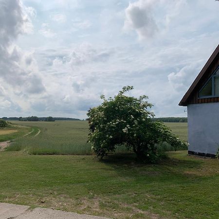 Zum Schwarzen Stiefel- Ferienwohnung Atelierhaus Rankwitz Exterior foto